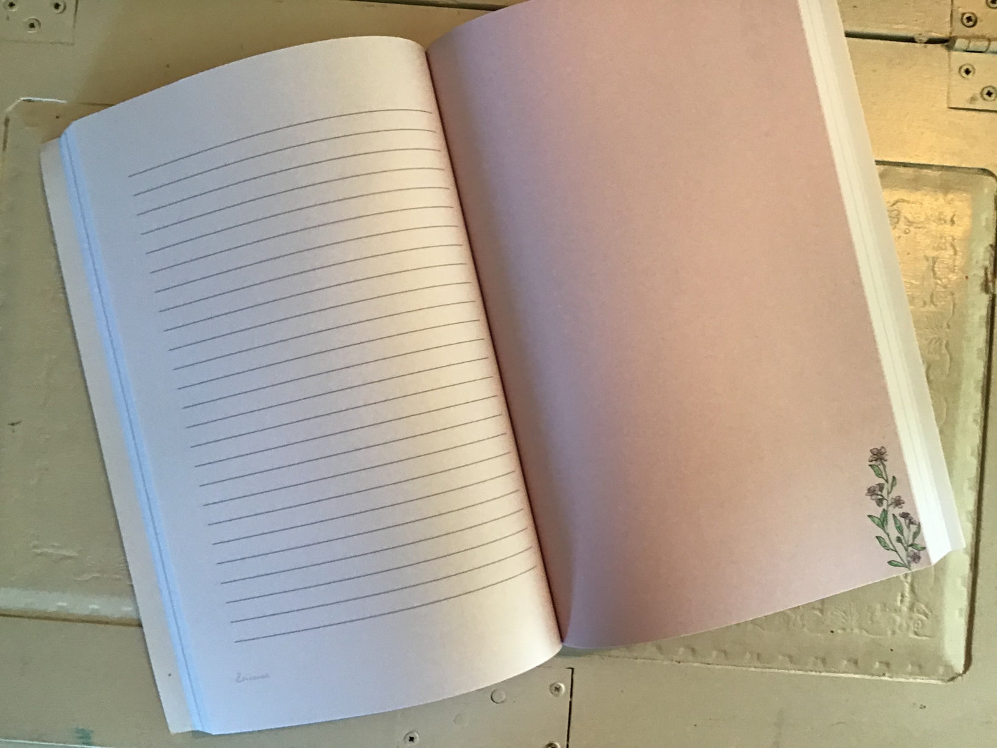 Jane Austen Journal Emma