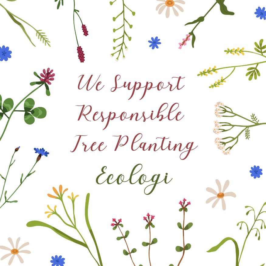 Jane Austen Letters Notebook Sanditon